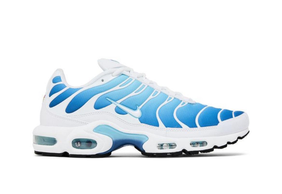 Nike tn blue