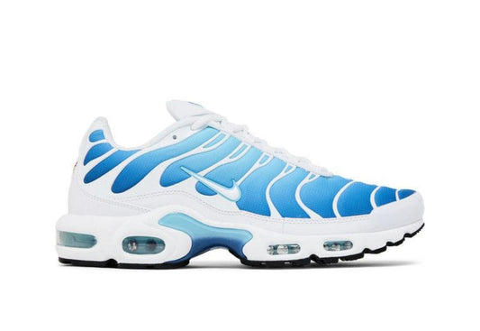 Nike tn blue